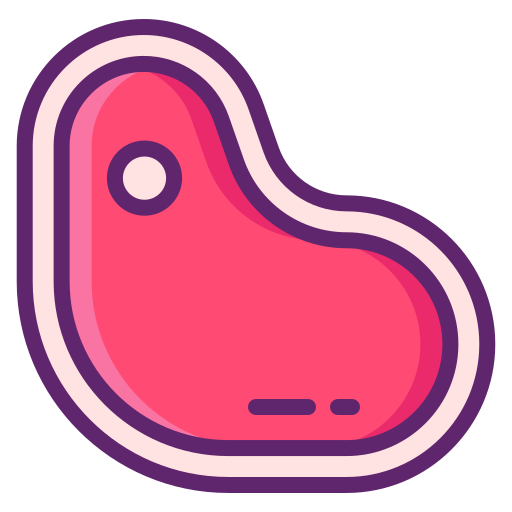 Meat Flaticons Lineal Color icon