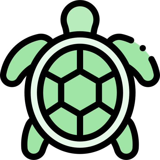 tortuga Detailed Rounded Lineal color icono