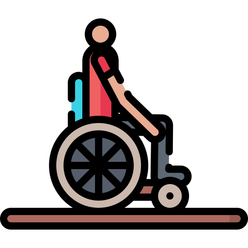 Инвалидное кресло Special Lineal color иконка