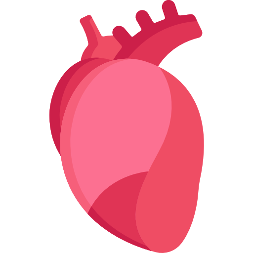 Сердце Special Flat иконка