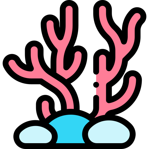 Coral Detailed Rounded Lineal color icon
