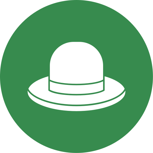 Hat Generic color fill icon