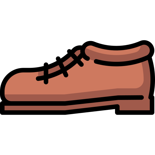 zapato Special Lineal color icono
