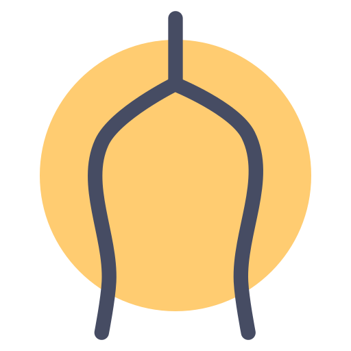 칠면조 Generic outline icon