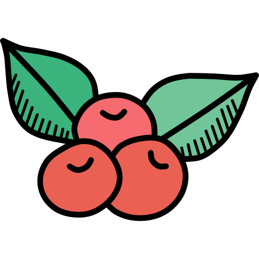 Fruit Generic Others icon