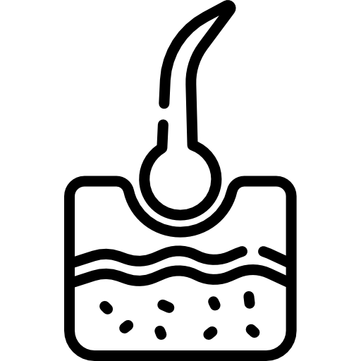 epidermis Special Lineal icono