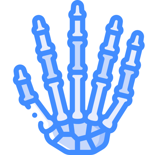 esqueleto Basic Miscellany Blue icono