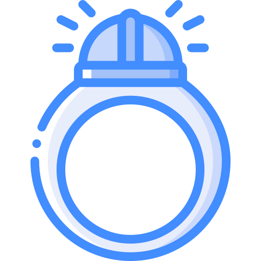 Ring Basic Miscellany Blue icon