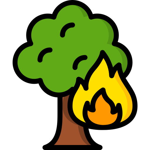 Forest fire Basic Miscellany Lineal Color icon