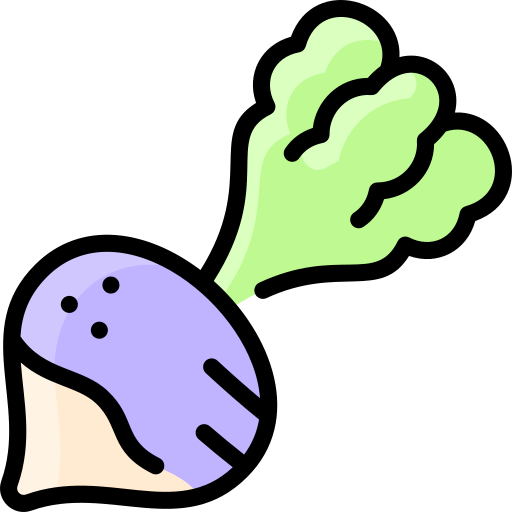 Turnip Vitaliy Gorbachev Lineal Color icon