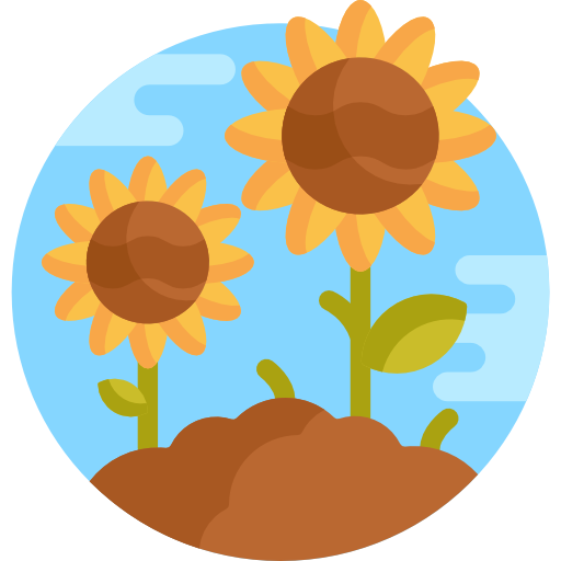 girasol Detailed Flat Circular Flat icono