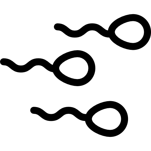 espermatozoide  icono