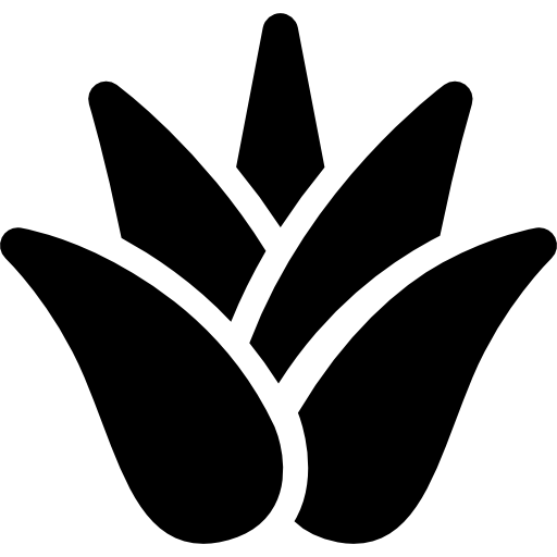 agave  Icône