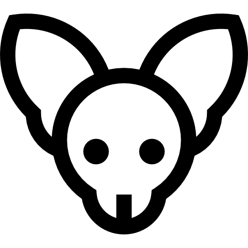 Chihuahua Basic Straight Lineal icon