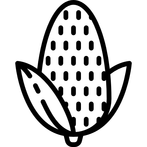 トウモロコシ Special Lineal icon
