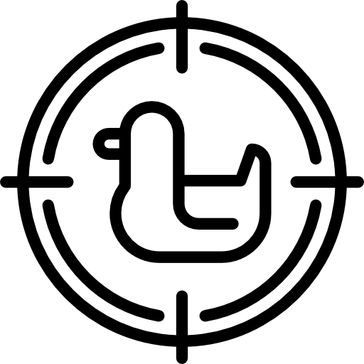 アヒルの射撃 Special Lineal icon