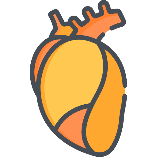 Сердце Special Bicolor иконка