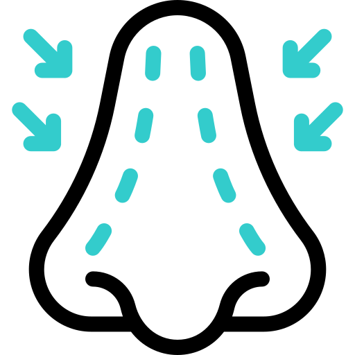 Rhinoplasty Basic Accent Outline icon