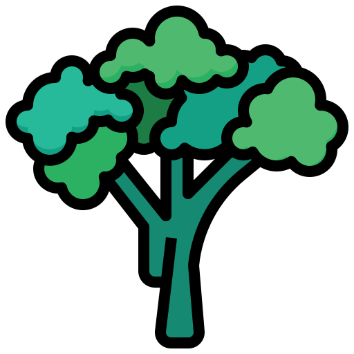 broccoli Generic color outline icona