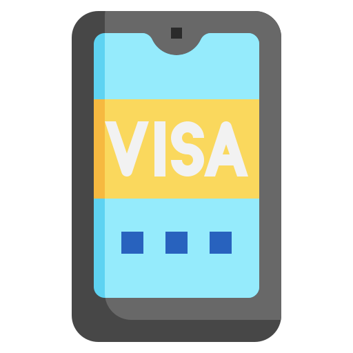 Visa Generic color fill icon