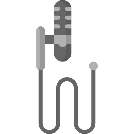 Mic Special Flat icon