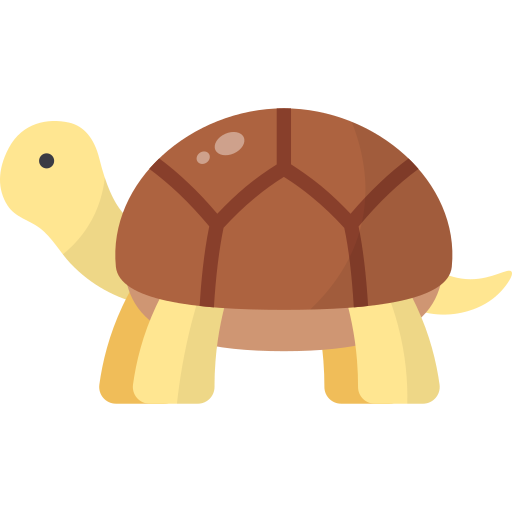 Tortoise Generic color fill icon