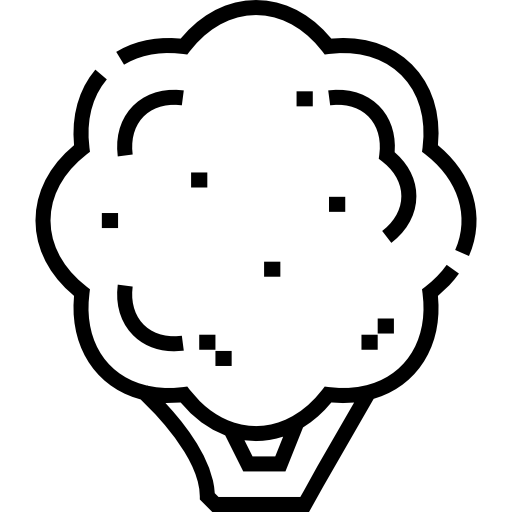 brócoli Detailed Straight Lineal icono