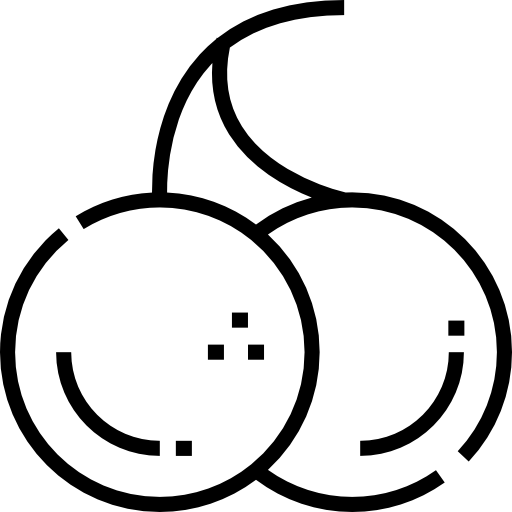 체리 Detailed Straight Lineal icon