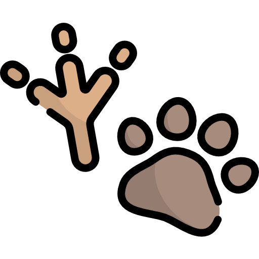 Footprint Kawaii Lineal color icon