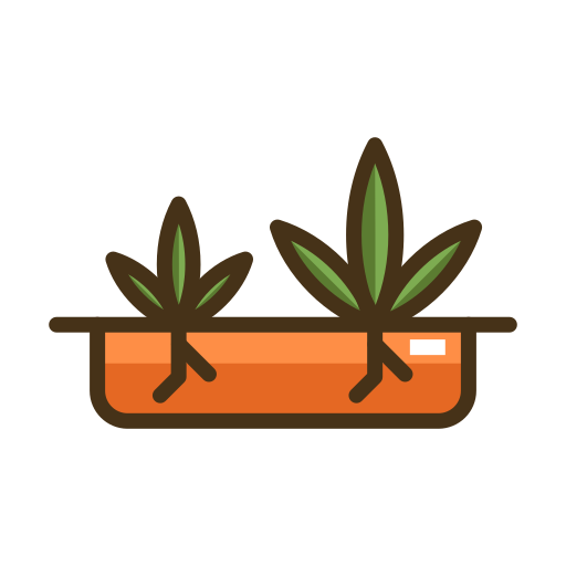 marijuana Generic color lineal-color icono