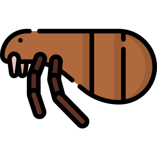 pulga Special Lineal color icono