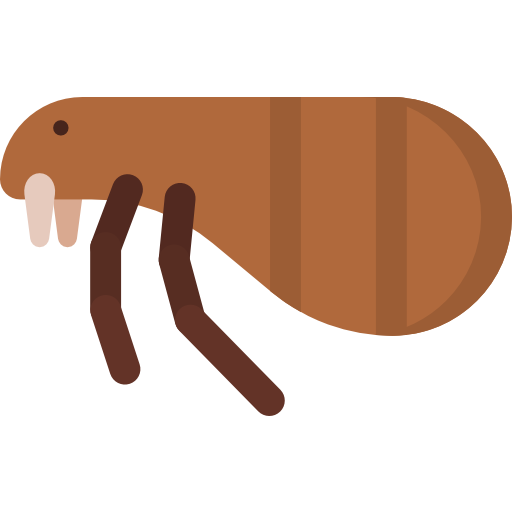 pulga Special Flat icono