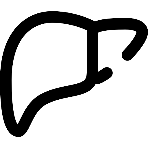 肝臓 Super Basic Omission Outline icon
