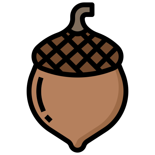 Acorn Generic color outline icon