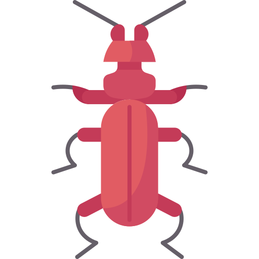 Beetle Amethys Design Flat icon