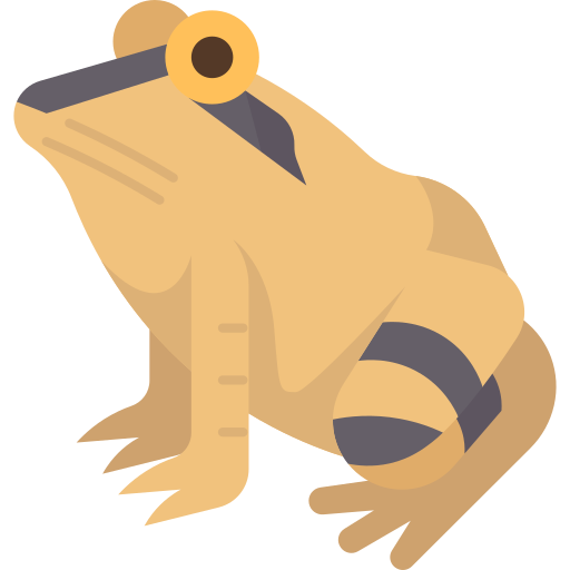 grenouille Amethys Design Flat Icône