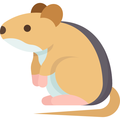 Rodent Amethys Design Flat icon