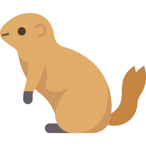 Squirrel Amethys Design Flat icon