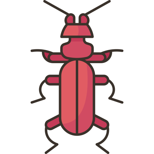 scarafaggio Amethys Design Lineal Color icona