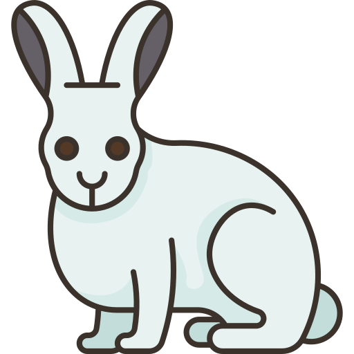 Hare Amethys Design Lineal Color icon