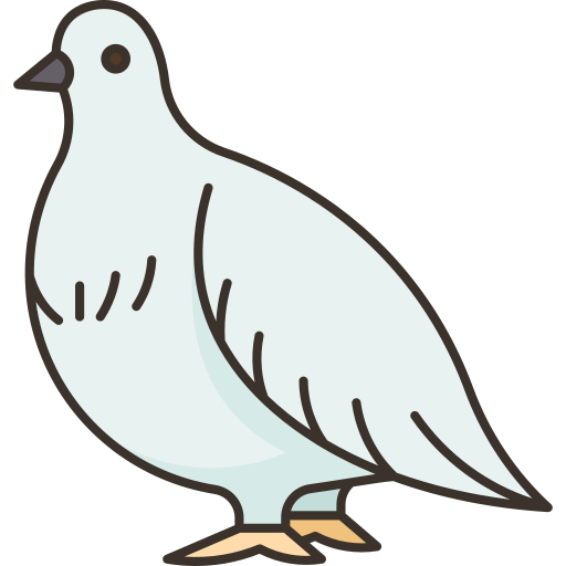 Bird Amethys Design Lineal Color icon