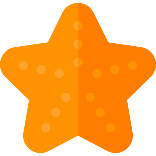 морская звезда Basic Rounded Flat иконка
