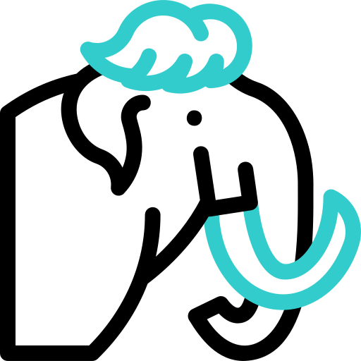 mammut Basic Accent Outline icon