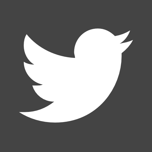 Twitter Logo Vaadin Lineal icon
