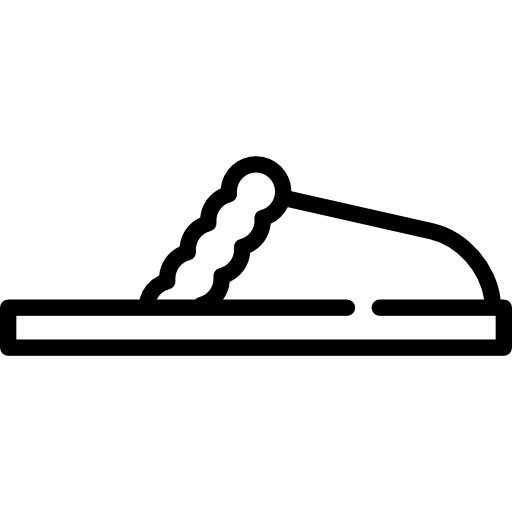 zapatilla Special Lineal icono