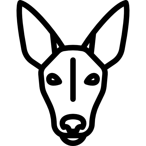 Pharaoh Hound Special Lineal icon