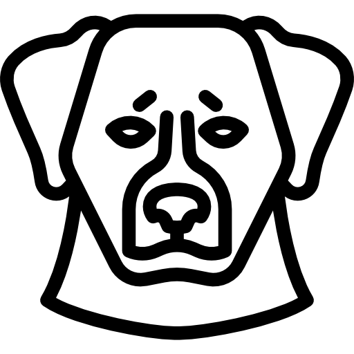 Bernese Mountain Dog Special Lineal icon