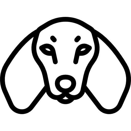 Dachshund Special Lineal icon
