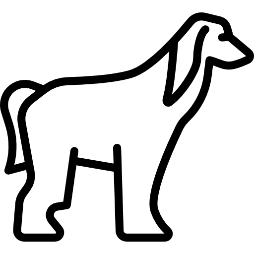 afghanischer hund Special Lineal icon