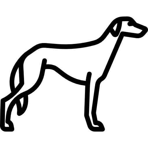 saluki Special Lineal icon